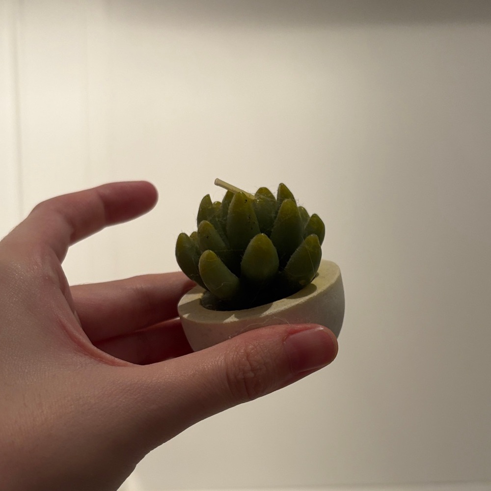 Green Succulent Candle